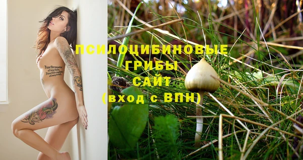 синтетический гашиш Вяземский