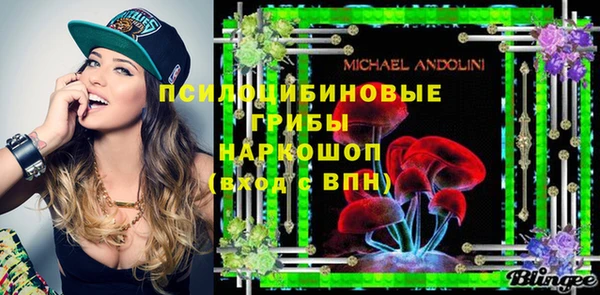 дживик Вязники