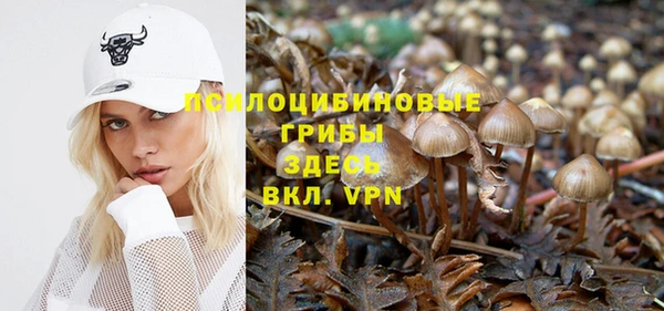 дживик Вязники
