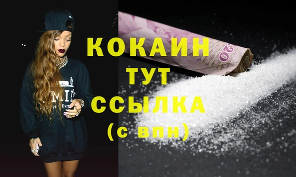МДПВ Долгопрудный