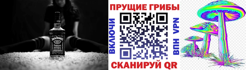 сайты даркнета Telegram  Горбатов  Псилоцибиновые грибы Psilocybine cubensis 